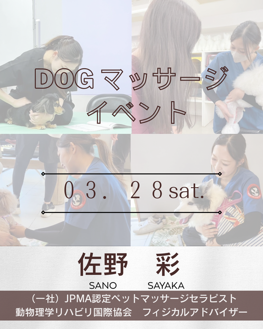 Dod マッサージイベント